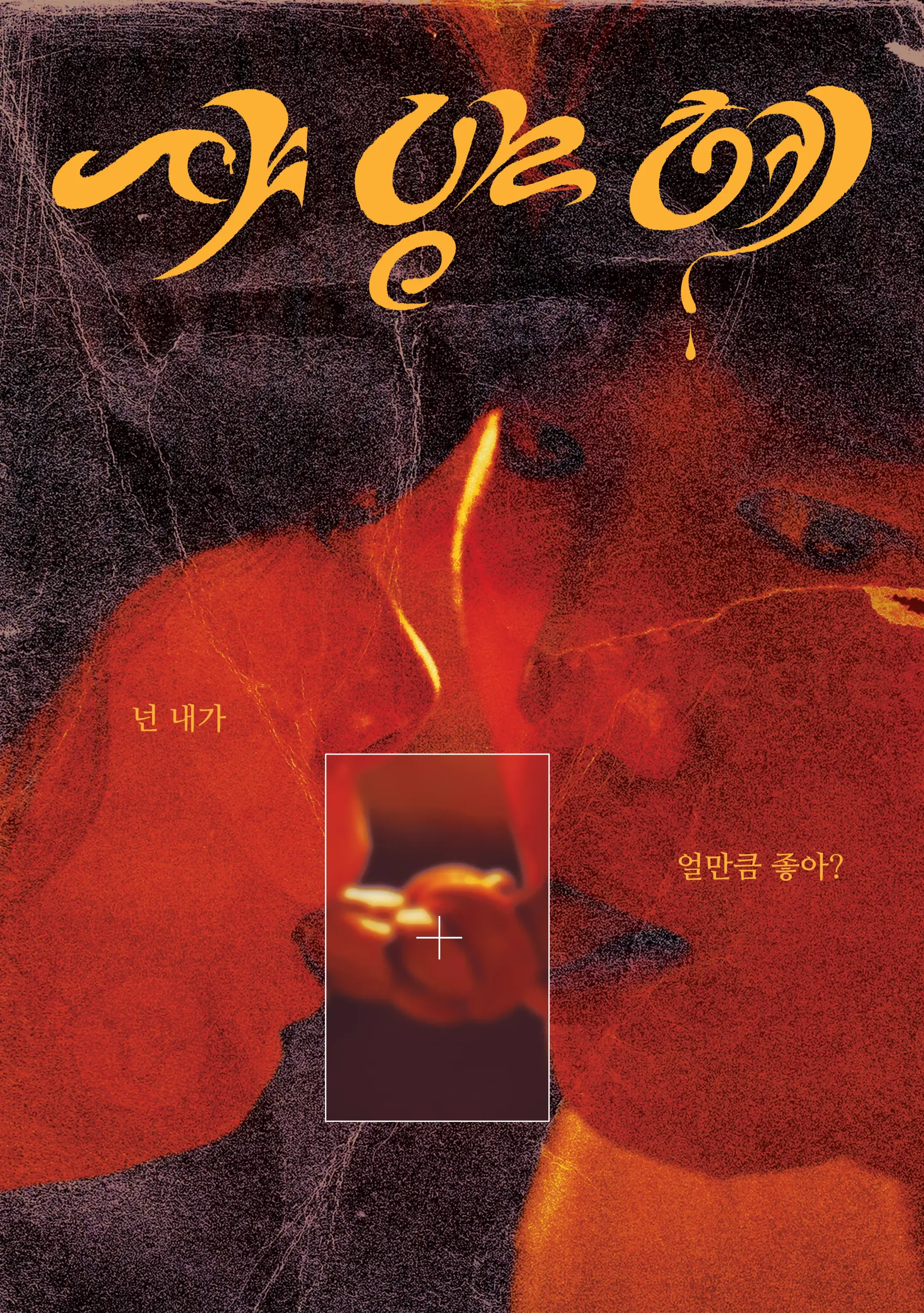 샤양헤