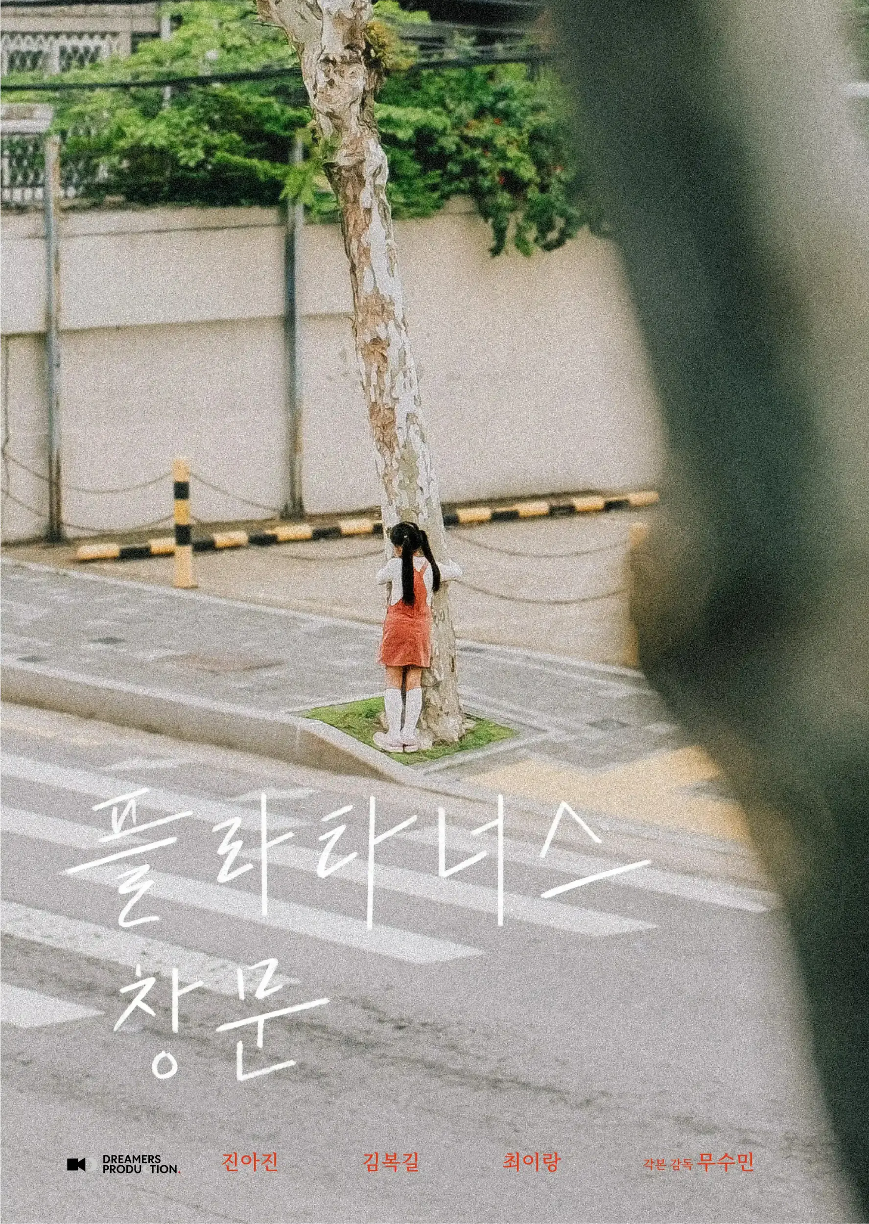 플라타너스 창문